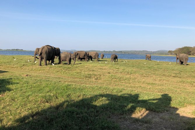 Sri Lanka Tour in 8 Days - Day 4: Waterfalls and the tea country around Nuwara Eliya
