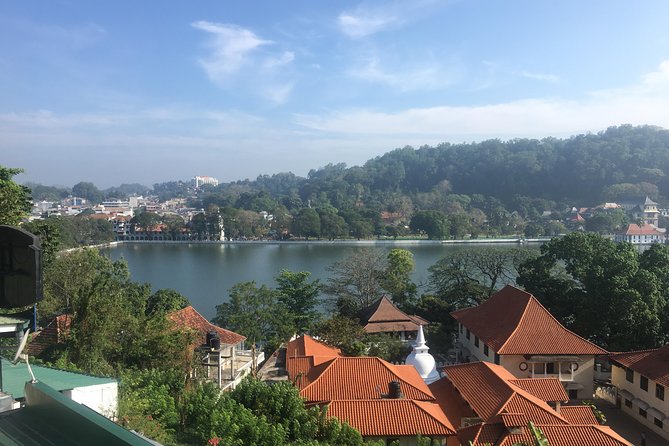 Sri Lanka Tour in 8 Days - Day 5: The Nanu Oya to Ella train and hill-country views