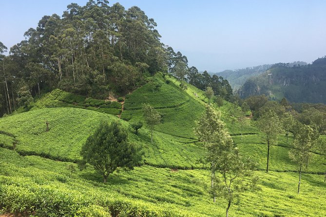 Sri Lanka Tour in 8 Days - Day 6: Rawana Ella and a Yala safari