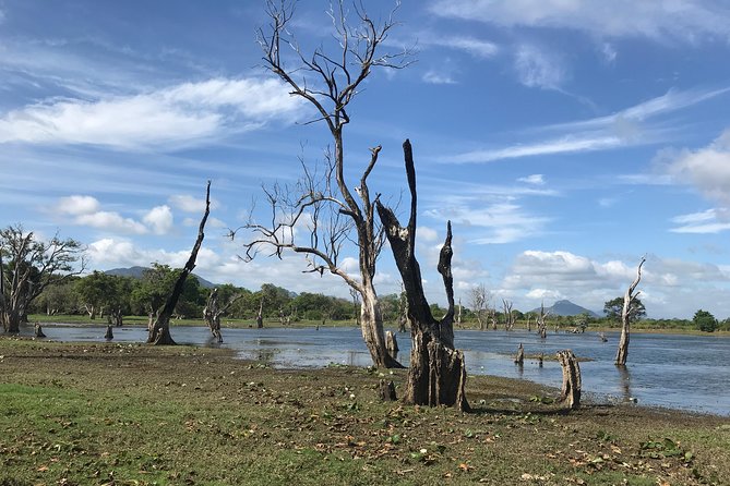 Sri Lanka tours 12-Day wildlife Tour with driver,Car or Van and accommodations - Spending a full day in Yala