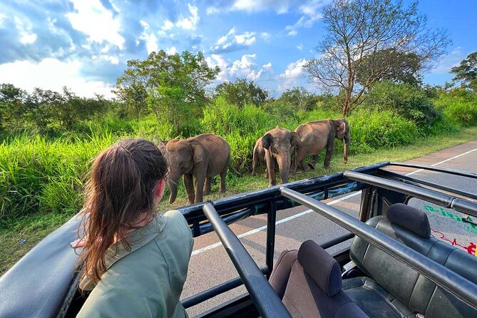 Sri Lanka Travel in 08 Nights 09 Days - Why this nine-day Sri Lanka route works