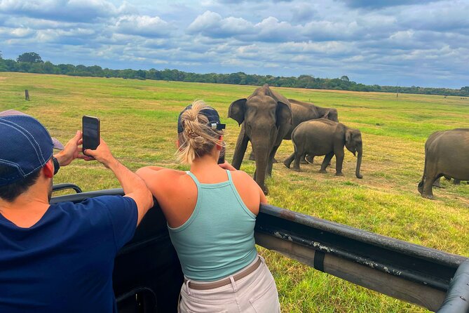 Sri Lanka Travel in 08 Nights 09 Days - Day 3: Minneriya National Park and the wildlife budget
