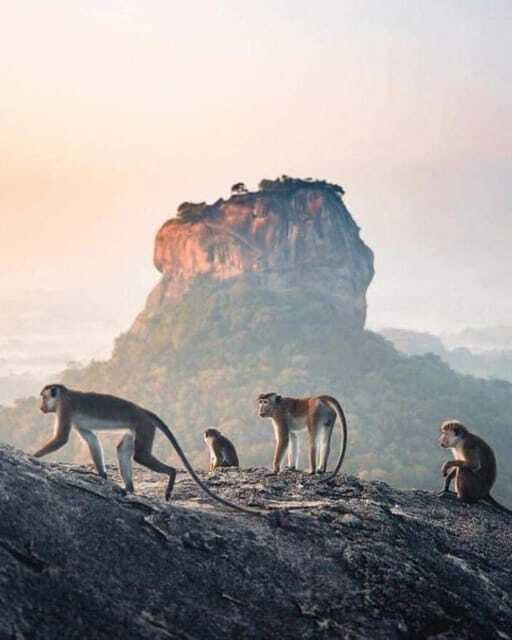Sunrise or Sunset Hike Pidurangala Rock with Scenic Views - What the guide adds for $18