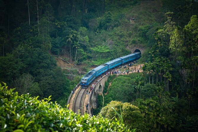 Tailor-made Multi-day Private Tour Packages in Sri Lanka - Key details to know before booking