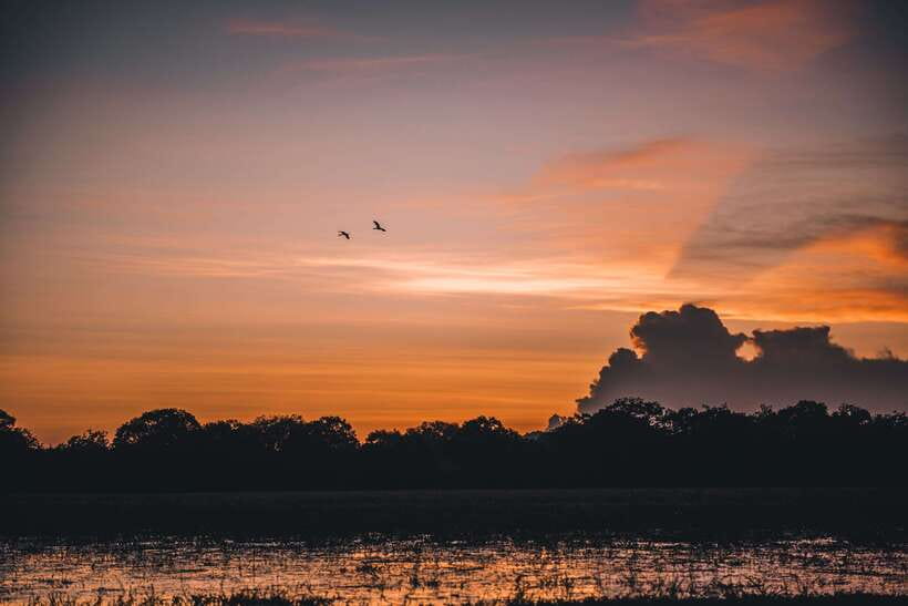 Tangalle/Hiriketiya: Yala National Park Safari in a 4x4 - The cash payment that changes the real price