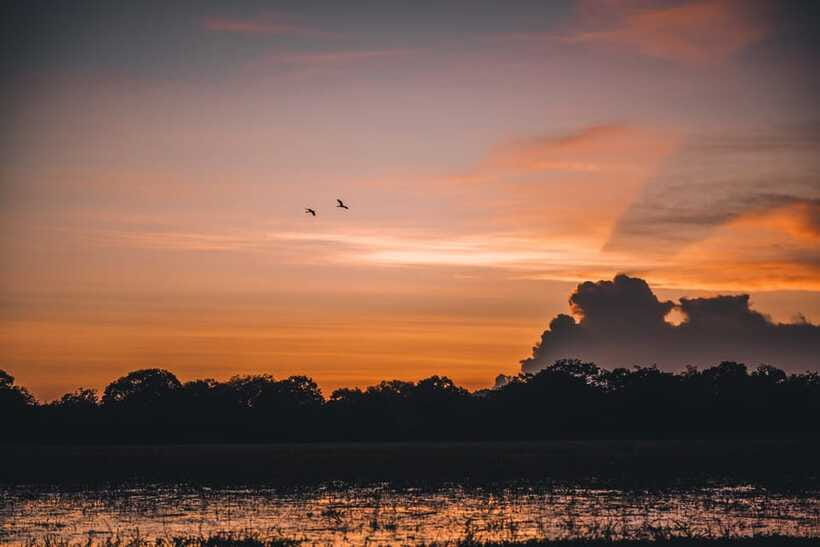 Tangalle/Hiriketiya: Yala National Park Safari in a 4x4 - What you might see inside Yala