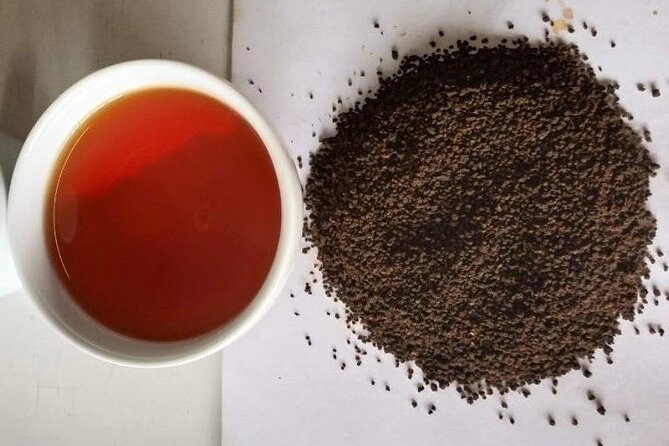 Tea Fields & Factory Tour - Shifting, testing, and packing the finished tea