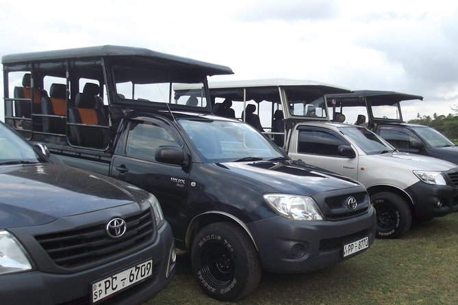 The Best Safari tour from Hambantota Port (Janaka safari) - Key points at a glance