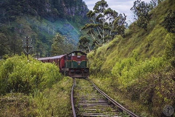 The Most Recommended Round Tour in Sri Lanka - Day 4: Tea country, Ramboda Falls, and Nuwara Eliya