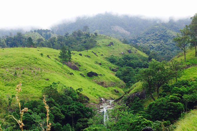The Most Recommended Round Tour in Sri Lanka - Day 6: Ella’s Nine Arches Bridge and Little Adam’s Peak