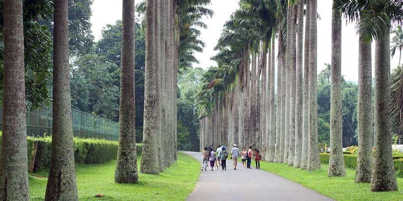 Three Temples Loop In Kandy Day Tour By Tuk Tuk - Key points to know before booking
