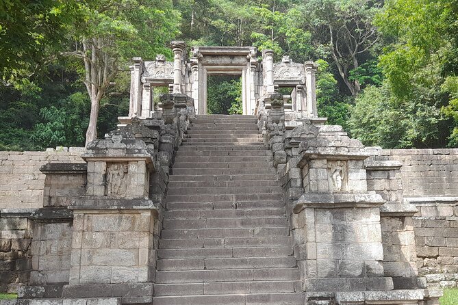 Tours and Transportation in Sri Lanka - Safaris, birds, and time away from the main roads