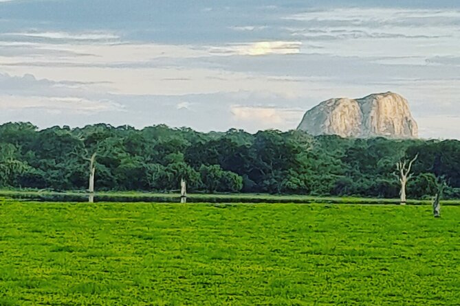 Tours and Transportation in Sri Lanka - Planning a two-week trip with culture, nature, and beach time