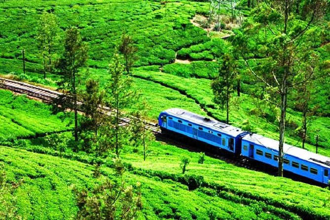 Train Tickets from Nanuoya (NuwaraEliya) to Ella - Why the Nanuoya to Ella train is worth your day