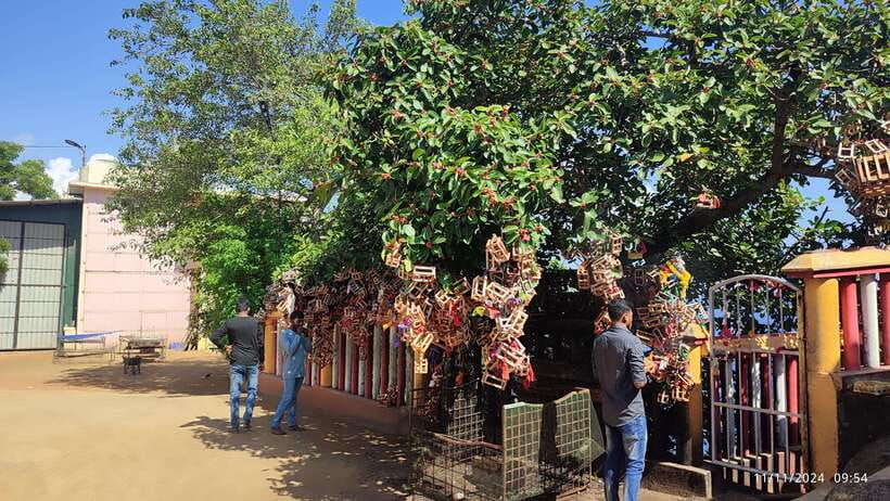 Trincomalee: City Tour with Koneswarm and Crocodile lake - What the guide adds, and where the tour may fall short