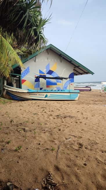 Trincomalee: Dolphin & Whale Watching Boat Tour - The Boat Ride to the Dolphin Grounds