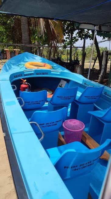 Trincomalee: Dolphin & Whale Watching Boat Tour - Searching for Blue and Sperm Whales