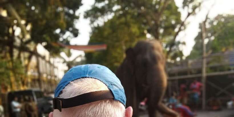 Tuk Trip is Very Cheap in Colombo (All-inclusive ) city tour - Key points to know before you book