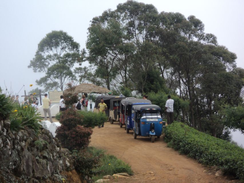 Tuk-Tuk Safari Liptons seat,Tea Fields Hike,TeaFactory Tour - Lipton Seat and the seven-district view