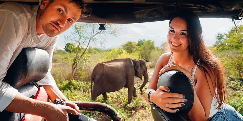 Udawalawa National Park: All-Inclusive Private Day Tour - The private pickup from Colombo, Ella, or Wellawaya