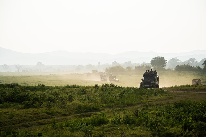 UDAWALAWA National Park ALL INCLUSIVE Tour with PICK UP INCLUDED - Key points before you book
