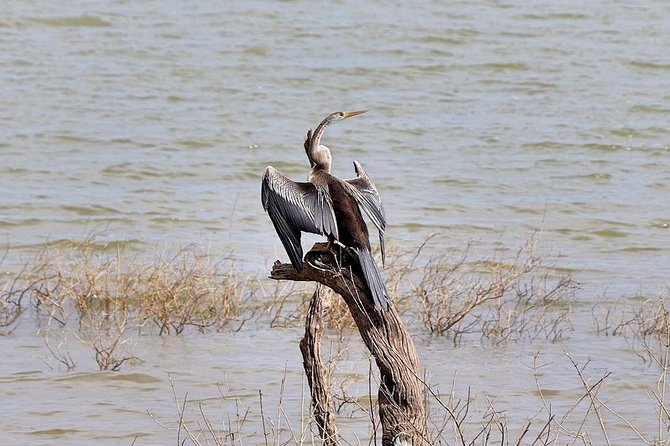 Udawalawa National Park half day Safari - Is $85 good value?