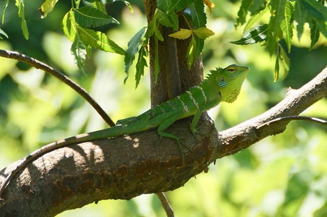 Udawalawa National Park half day Safari - Points to confirm before you book