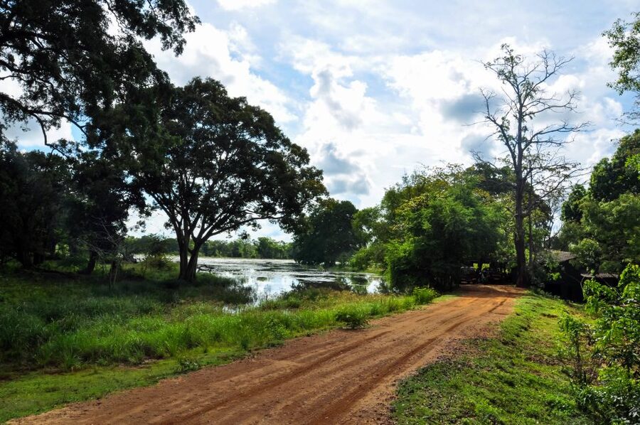Udawalawa National Park: Private Safari - Wildlife sightings: elephants first, birds close behind