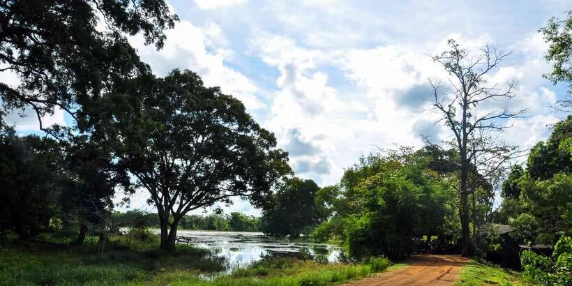 Udawalawa National Park: Private Safari - How the price compares with what you receive