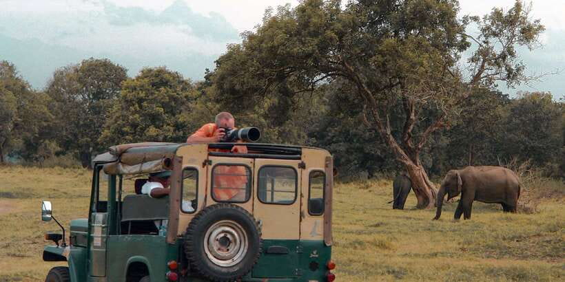 Udawalawa National Park: Private Safari - Timing, comfort, and what to bring