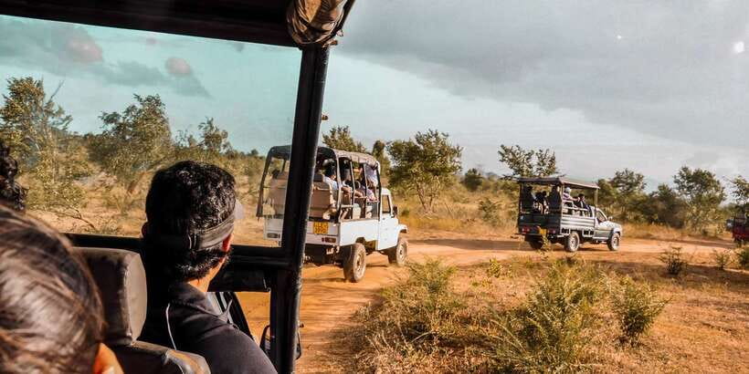 Udawalawa National Park: Private Safari - What the three-hour itinerary feels like