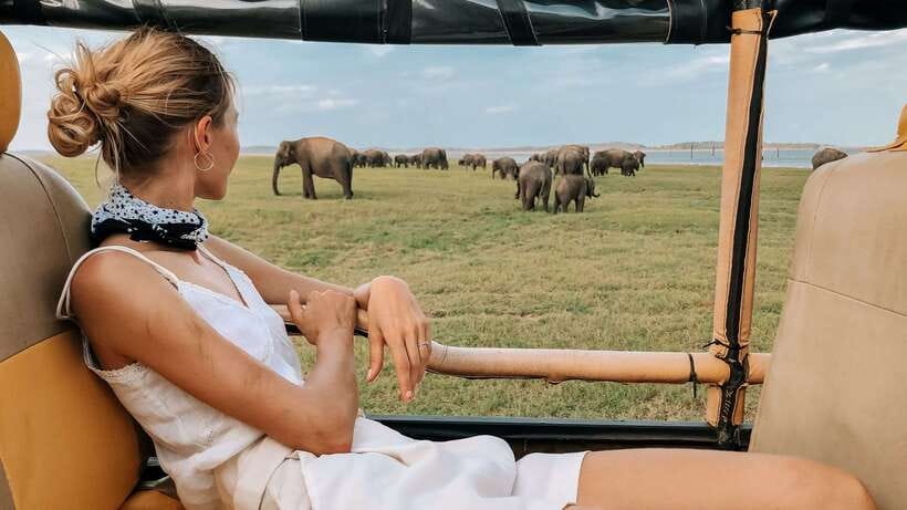 Udawalawa National Park Safari Tour with Experienced Guides - Key points at a glance