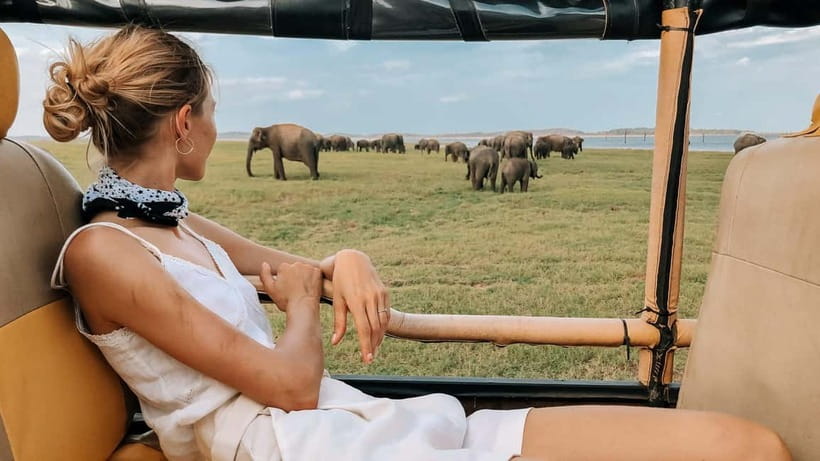 UDAWALAWA SAFARI TOUR from HAMBANTOTA PORT (Shore Excursion) - Drinks, binoculars, and the small details that help