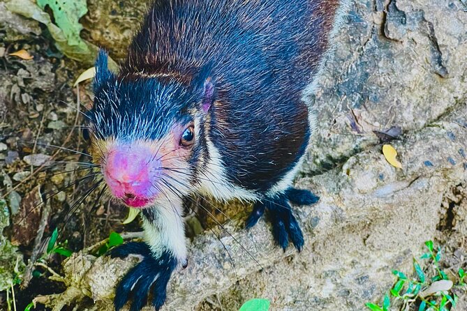 Udawalawa Wild Life Safari - Is $25 good value?