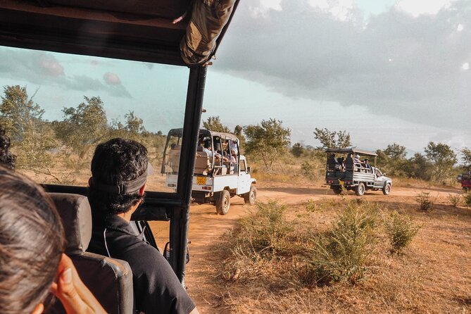 Udawalawe National Park Entrance Ticket with Private Safari - What your $27 covers at Udawalawe
