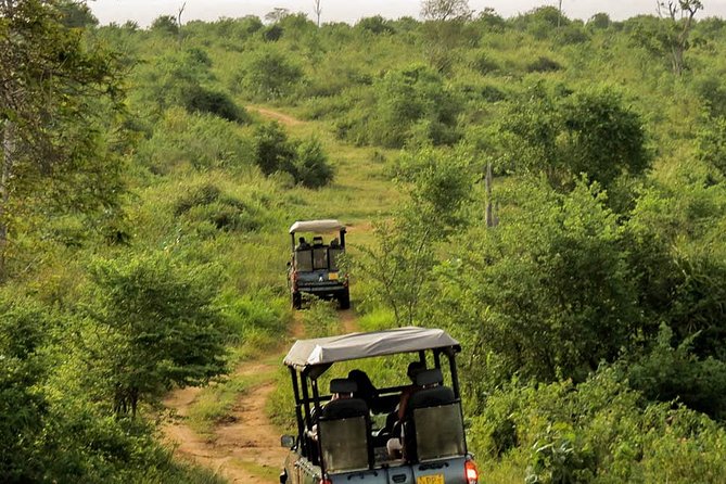 Udawalawe National Park Entrance Ticket with Private Safari - Who will get the most from this safari?