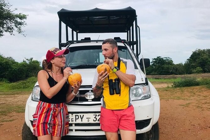 Udawalawe National Park Private Safari Tour - The wildlife checklist, from elephants to birds