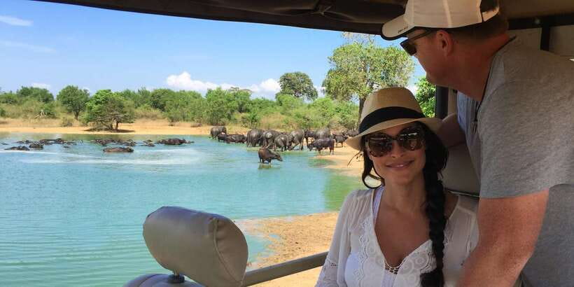 Udawalawe: National Park Safari & Elephant Transit Home Tour - Key points to know before you book