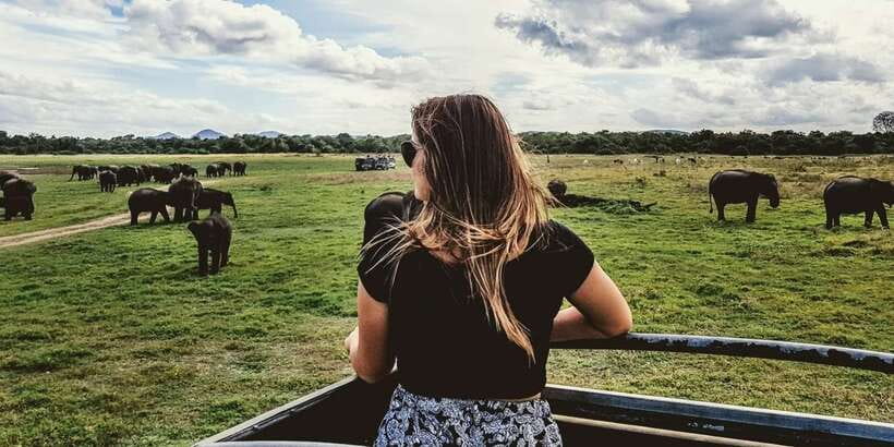 Udawalawe: National Park Safari & Elephant Transit Home Tour - Why Udawalawe is a strong choice for elephant watching