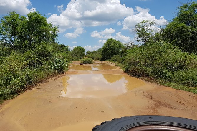 Udawalawe National Park Safari trip from Galle/Mirissa/Ella - What makes a private jeep worthwhile