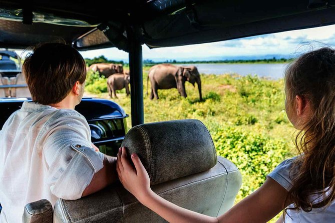 Udawalawe National Park Safari with Elephant Transit Home Visit - What the $24 price really means