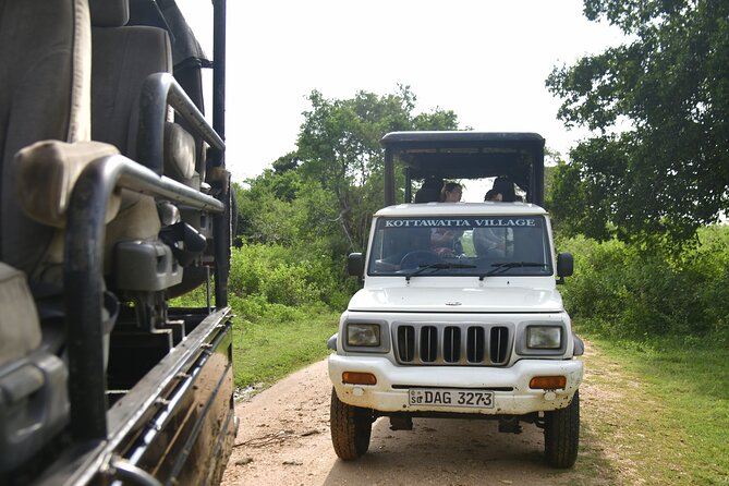 Udawalawe National Park Wildlife Safari Tours - Who will enjoy this safari most