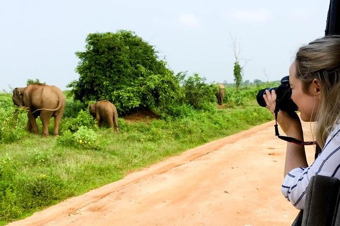 Udawalawe Private Safari frm Hambantota Port by BTM-All Inclusive - Half-Day or Full-Day: Which Fits Better?