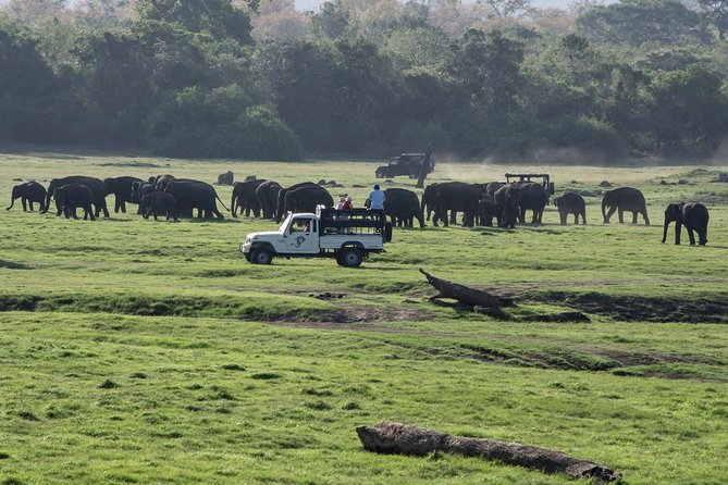 Udawalawe Private Safari frm Hambantota Port by BTM-All Inclusive - The Bumpy Part You Need to Take Seriously