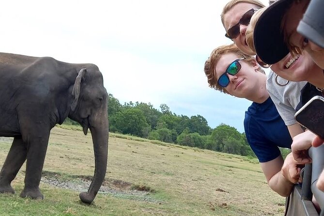 Udawalawe Safari Adventure - The three-hour jeep route through grassland and forest