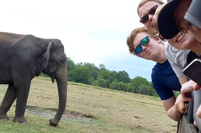 Udawalawe Safari Adventure - Rain, rough roads, and the right expectations