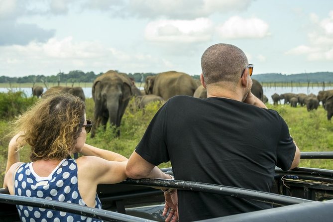 Udawalawe Safari Day Trip with Return Transport - All Inclusive - Why Udawalawe is worth the long day