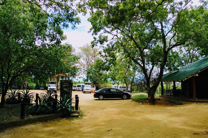 Udawalawe Safari - Private & Customize Tour - Elephants are the main event