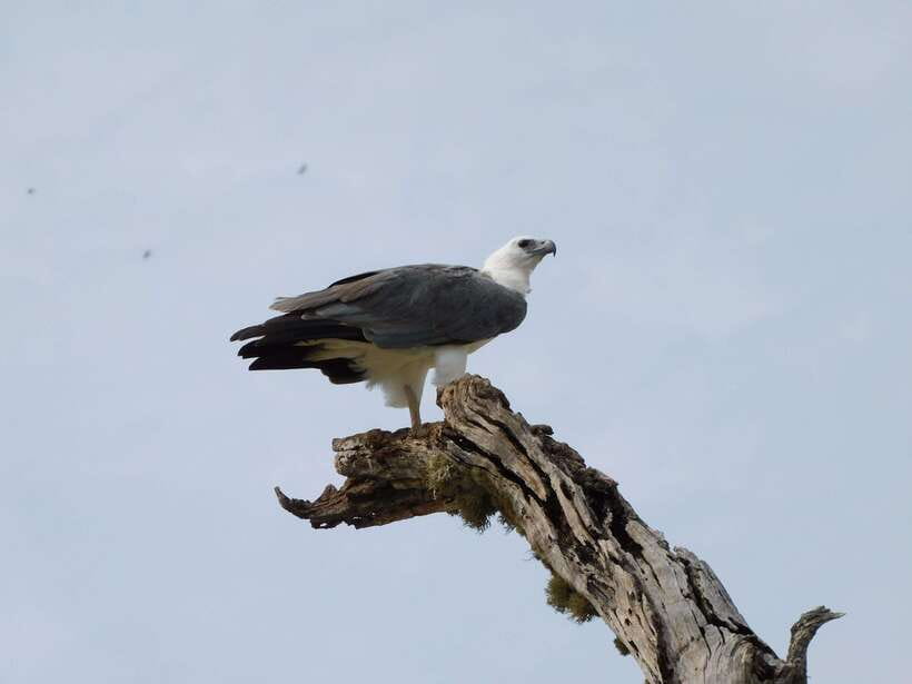 Udawalawe Safari Tour from Hambantota Port (Shore Excursion) - Key points at a glance