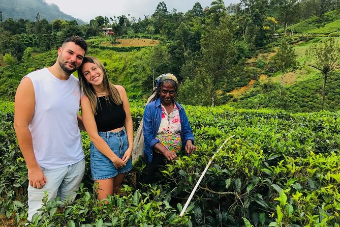 Ultimate 8-Day Sri Lanka Adventure: Private Guided Tour - Key points to know before booking